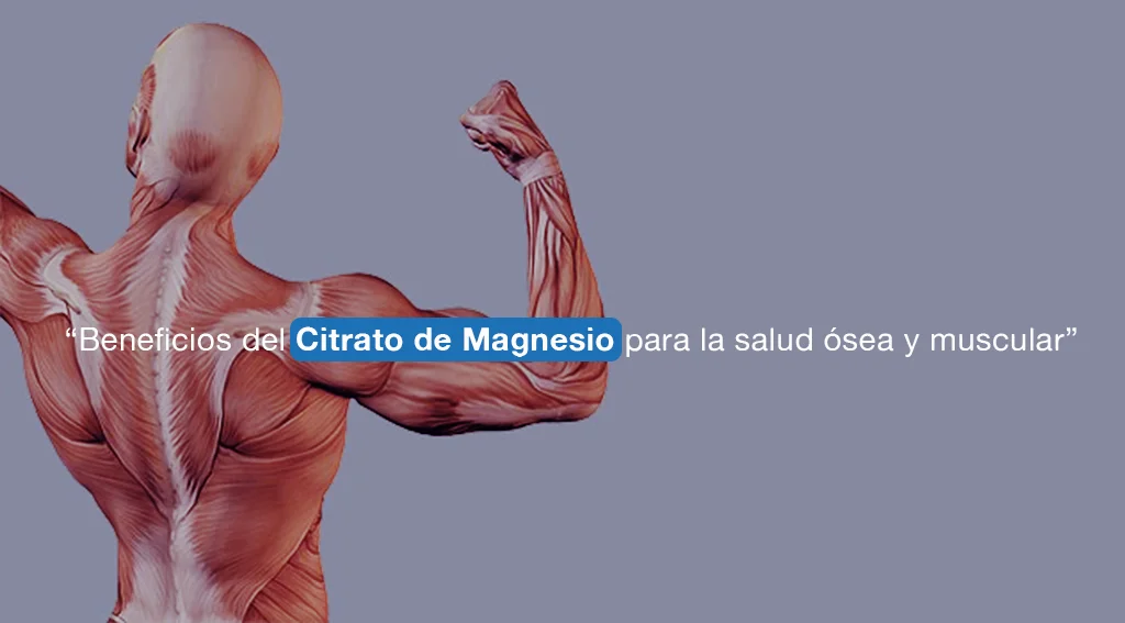 citrato de magnesio para la salud ósea y muscular